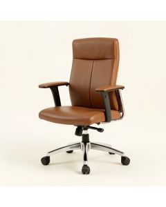 Seeneytown Ergonomic Office Chair (synthetic illustration; no displayed measurements)