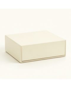 River Dell Desktop Monitor Riser - Ivory (synthetic illustration; no displayed measurements)