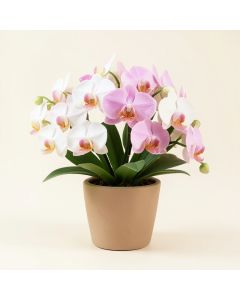 Faux Orchid Floral Arrangement In Planter (synthetic illustration; no displayed measurements)
