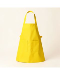 Queen Bee Apron (synthetic illustration; no displayed measurements)