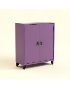 Violetta 2 Door Accent Cabinet (synthetic illustration; no displayed measurements)