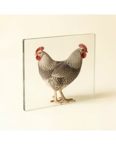 Counterart Tempered Glass Farm Fresh Rooster Cutting Board (synthetic illustration; no displayed measurements)
