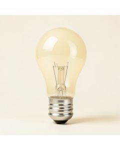 5 Watt , Incandescent Dimmable Light Bulb , Warm White ( 2200K ) E12/Candelabra Base (synthetic illustration; no displayed measurements)