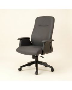 Enosburg Ergonomic Executive Chair (synthetic illustration; no displayed measurements)
