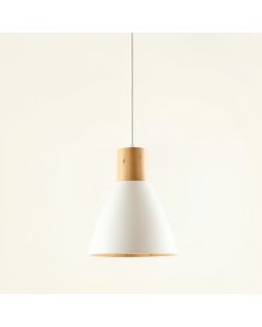 Reed Bluff Pendant Light Suspended From One Plain Cable - White (synthetic illustration; no displayed measurements)