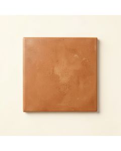Briar Bridge Uninstalled Square Decorative Tile - Terracotta (synthetic illustration; no displayed measurements)