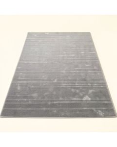 Altamont Silver Gray Area Rug (synthetic illustration; no displayed measurements)