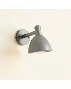 Summit Branch Wall Sconce Mounted On A Plain Wall - Gray (synthetic illustration; no displayed measurements)