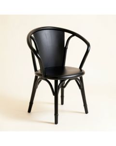 Shore Edge Dining Chair - Black (synthetic illustration; no displayed measurements)
