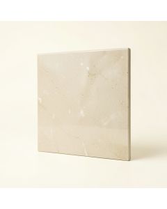 0.8 '' X 0.8 '' Porcelain Mosaic Wall & Floor Tile (synthetic illustration; no displayed measurements)