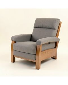 Lippa 32 '' Wide Power Lift Assist Standard Recliner (synthetic illustration; no displayed measurements)