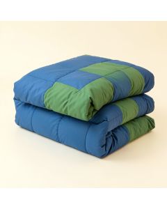 Dombrowski Dino Stamp Reversible Comforter Set (synthetic illustration; no displayed measurements)