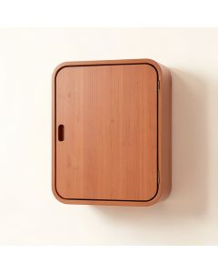 Hill Canyon Wall-Mounted Laundry Cabinet - Terracotta (synthetic illustration; no displayed measurements)