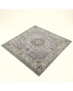 Hillsby Oriental Light Gray/Charcoal Area Rug (synthetic illustration; no displayed measurements)