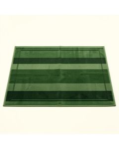 Holly Crest Rectangular Outdoor Rug - Green (synthetic illustration; no displayed measurements)