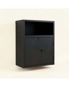Briar Edge Wall-Mounted Entry Cabinet - Black (synthetic illustration; no displayed measurements)