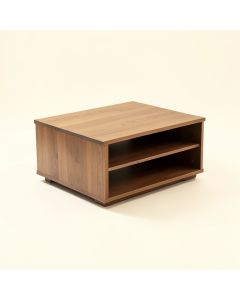 Richins Coffee Table With Storage (synthetic illustration; no displayed measurements)