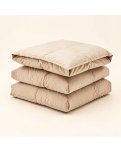 Ayesha Curry Natural Instincts Double Cloth Comforter Set (synthetic illustration; no displayed measurements)