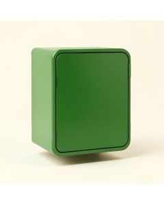 Holly Canyon Wall-Mounted Laundry Cabinet - Green (synthetic illustration; no displayed measurements)