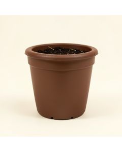 Celestia Self-Watering Plastic Elevated Planter (synthetic illustration; no displayed measurements)