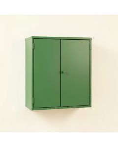 Hazel Branch Wall-Mounted Laundry Cabinet - Green (synthetic illustration; no displayed measurements)