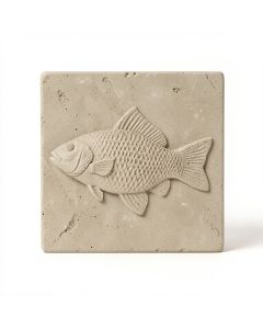 6 '' X 6 '' Cement Whole Fish Fossil Impression Decorative Accent Tile In Buff (synthetic illustration; no displayed measurements)