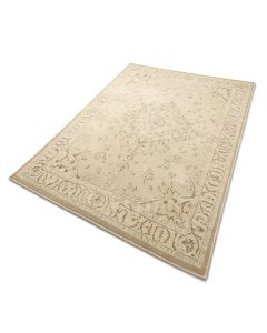 Brandt Oriental Beige Area Rug (synthetic illustration; no displayed measurements)