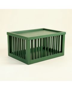 Holly Brook Empty Furniture-Style Pet Crate - Green (synthetic illustration; no displayed measurements)
