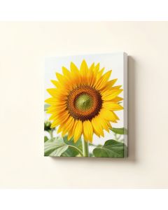 Sunflower Photographic Print On Wrapped Canvas (synthetic illustration; no displayed measurements)