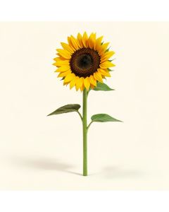 Sunflower Stem (synthetic illustration; no displayed measurements)