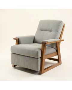 Enedina 34.75 '' Wide Power Lift Assist Standard Recliner (synthetic illustration; no displayed measurements)