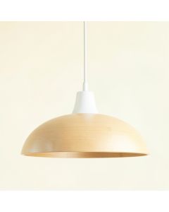 Meadow Bend Pendant Light Suspended From One Plain Cable - White (synthetic illustration; no displayed measurements)