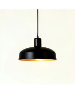 Maple Bluff Pendant Light Suspended From One Plain Cable - Black (synthetic illustration; no displayed measurements)