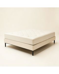 Leonard Tufted Upholstered Platform Bed (synthetic illustration; no displayed measurements)