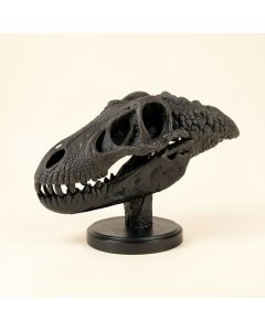 Dinosaur Skull With Base (synthetic illustration; no displayed measurements)