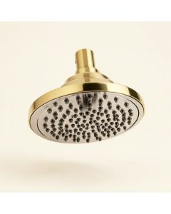 Vintage Anystream 2.0 Gpm Multi-Function Adjustable Brass Shower Head (synthetic illustration; no displayed measurements)