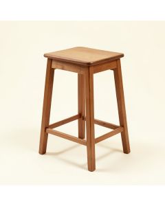 Delacruz Adjustable Height Bar Stool (synthetic illustration; no displayed measurements)