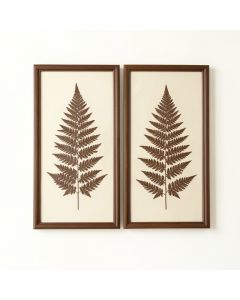Large Vintage Fern Illustrations Framed Botanical Prints Wall Art | Set Of 2 , 19 ” X 25.5 ” Each (synthetic illustration; no displayed measurements)