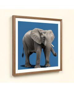 Elephant By Rocío Díaz Couretot Framed Graphic Art (synthetic illustration; no displayed measurements)