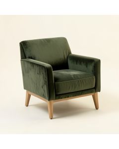 24 '' Wide Velvet Armchair (synthetic illustration; no displayed measurements)