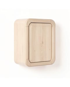 Elm Bend Wall-Mounted Laundry Cabinet - Beige (synthetic illustration; no displayed measurements)