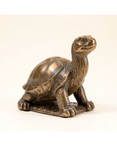 Donita Reading Tortoise And Hare Solar Statue (synthetic illustration; no displayed measurements)