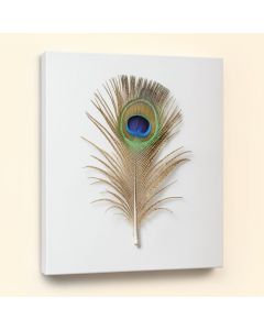 Golden Blue Peacock Feather Ii - Print On Canvas (synthetic illustration; no displayed measurements)