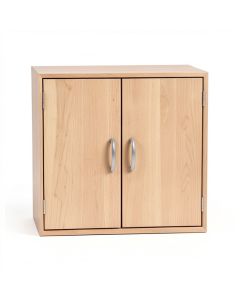 Cataleya 2 Door Storage Cabinet (synthetic illustration; no displayed measurements)
