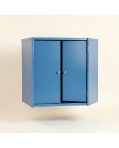 Briar Brook Wall-Mounted Laundry Cabinet - Blue (synthetic illustration; no displayed measurements)