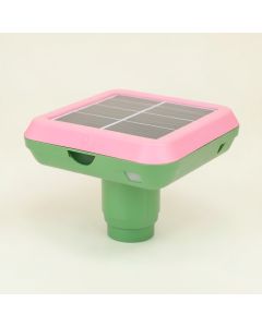 Pink/Green Solar Powered Integrated Led Pathway Light (synthetic illustration; no displayed measurements)