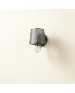 Cove Crest Wall Sconce Mounted On A Plain Wall - Gray (synthetic illustration; no displayed measurements)
