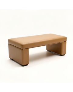 Loney Leather Upholstered Bench (synthetic illustration; no displayed measurements)