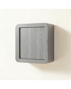Lake Bend Wall-Mounted Entry Cabinet - Gray (synthetic illustration; no displayed measurements)