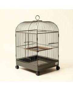 Olivia Play Top Parrot Bird Cage (synthetic illustration; no displayed measurements)